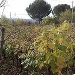 La Petrosa 3*