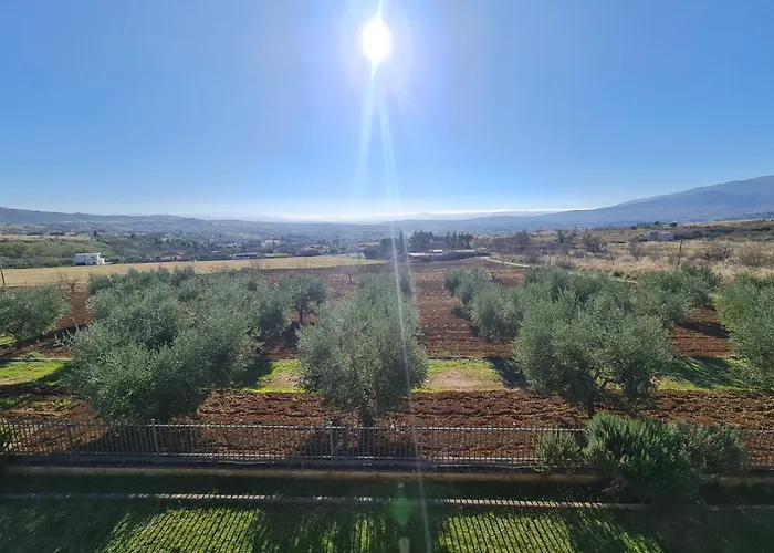 Alojamento de Acomodação e Pequeno-almoço La Petrosa